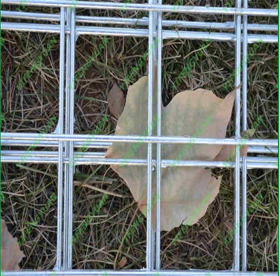 How To Make A Wire Mesh Compositer, DIY Projects For Everyone! How To Make A Wire Mesh Compositer, DIY Projects For Everyone!