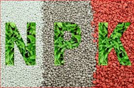 NPK granular fertilizer