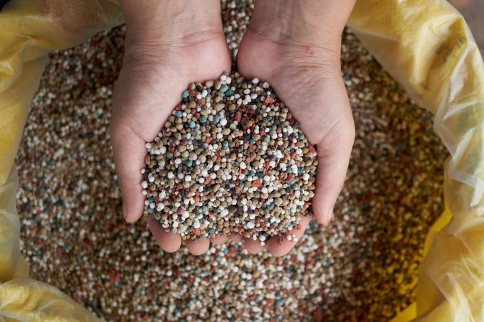 NPK Granular Fertilizer; Bulk Blending Fertilizer