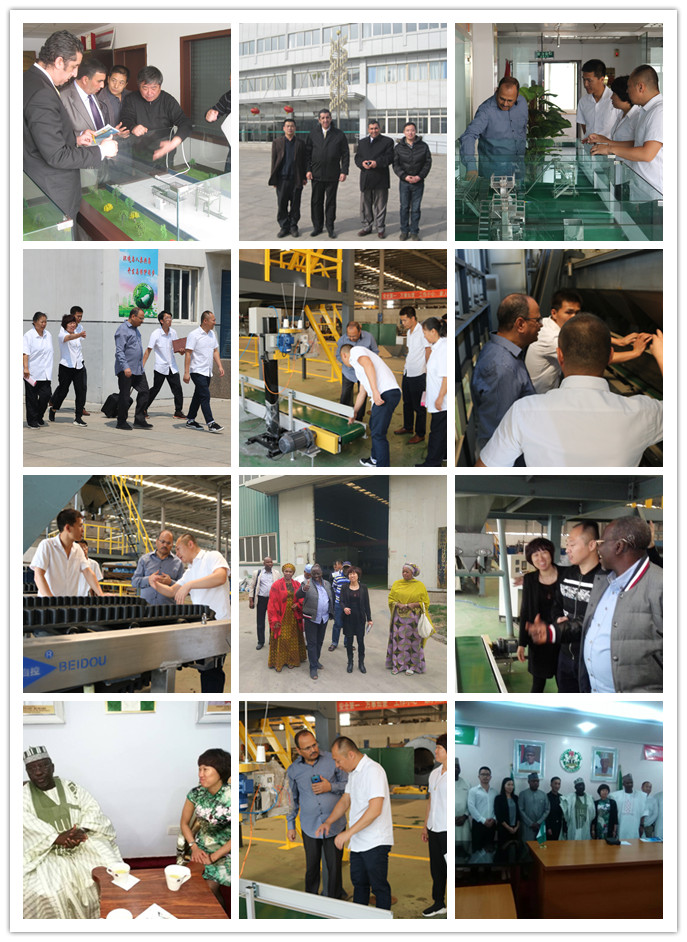Fertilizer Blending and Bagging Plant