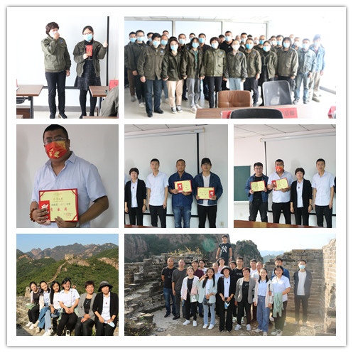 Company Team