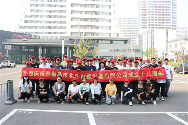 Company Team