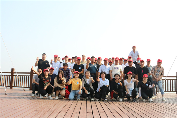 Company Team