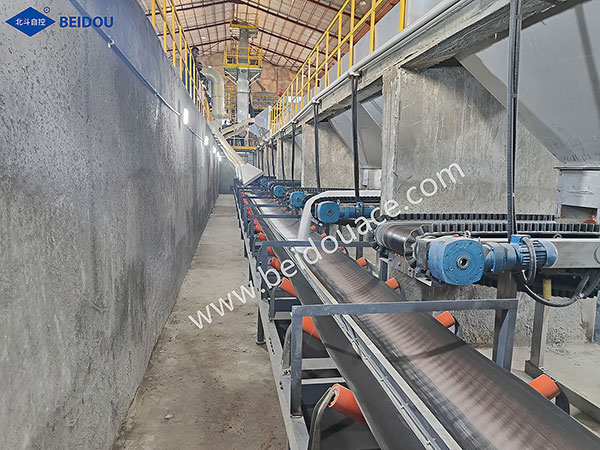 Belt Conveyor Scale