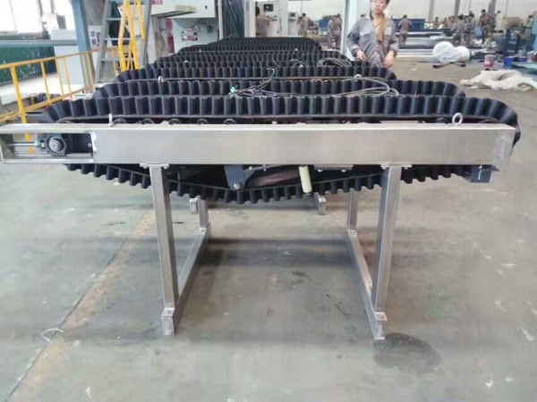 Multifunctional Belt Scale