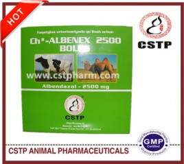 Albendazole 600mg