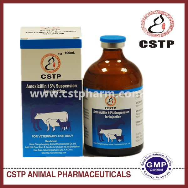 Amoxicillin Suspension 15% 100ml