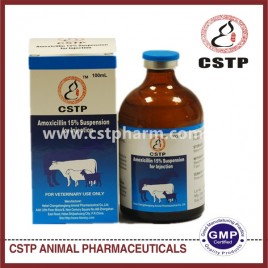 Amoxicillin Suspension 15% 100ml