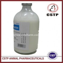 Amoxicillin Injection 15%