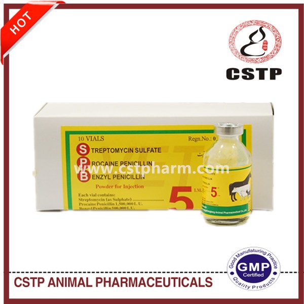 Streptomycin Sulphate + Procaine Penicillin Benzyl Penicillin 5g