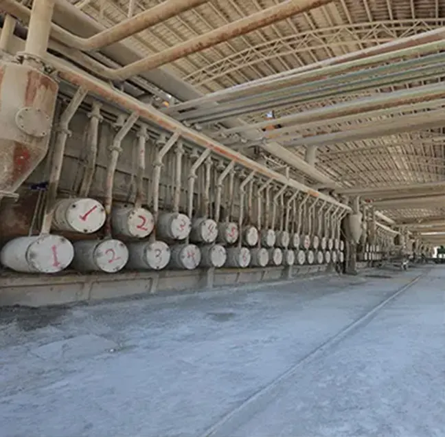 Metal Magnesium Plant (Horizontal reduction furnace)
