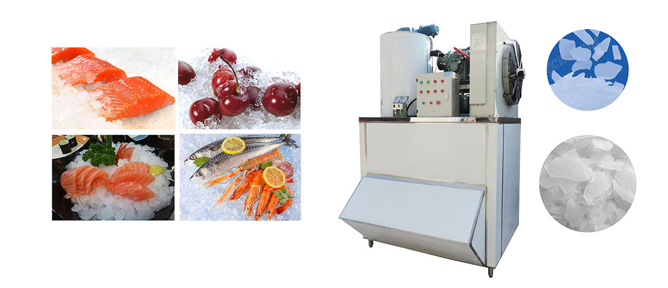 Ice maker
