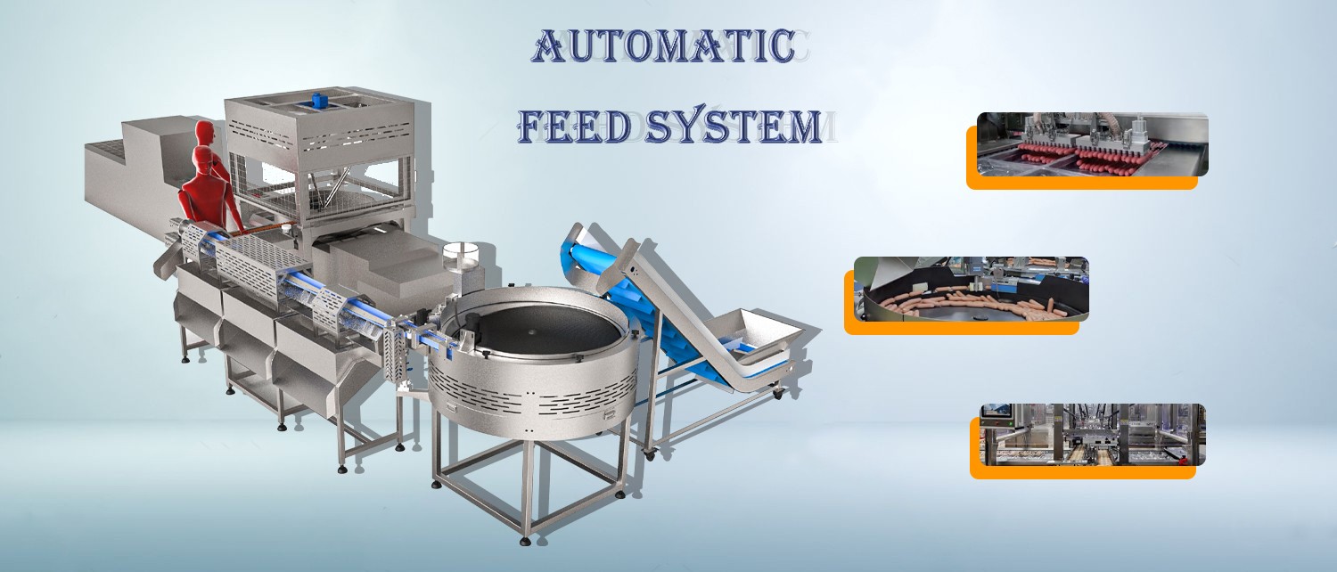 Automatic feeding system