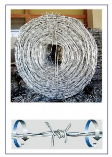 MF-0031