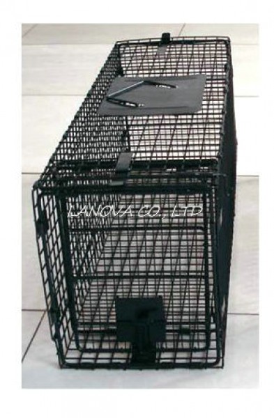 GW-0029