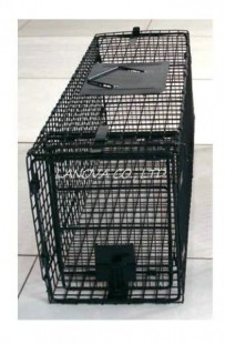 GW-0029