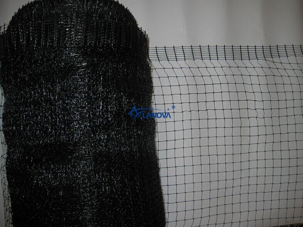 Anti Bird Net-002