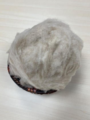 Camel hair MC1 Ivory, Camel hair MC1 Ivory