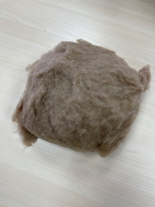 Camel hair MC5, Camel hair MC5