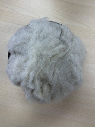Fox Hair Silver, Fox Hair Silver