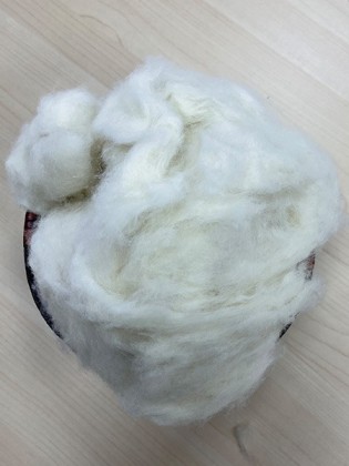 Raccoon hair White, Raccoon hair White