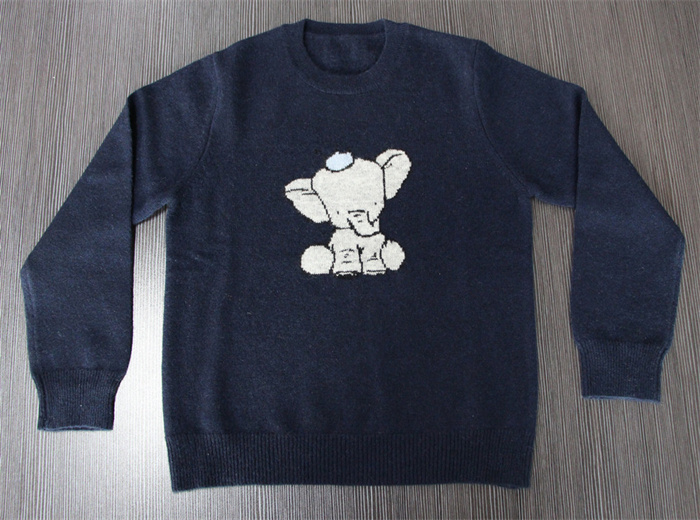 Kid sweater with Intarsia animal design