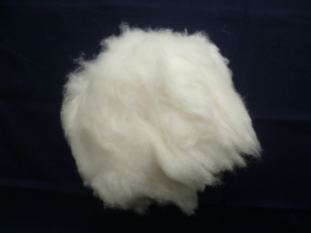 Angora Rabbi Hair