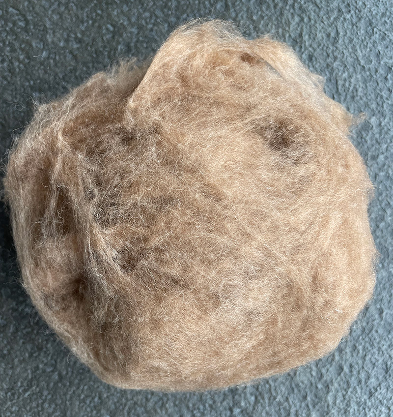 Camel hair MC2