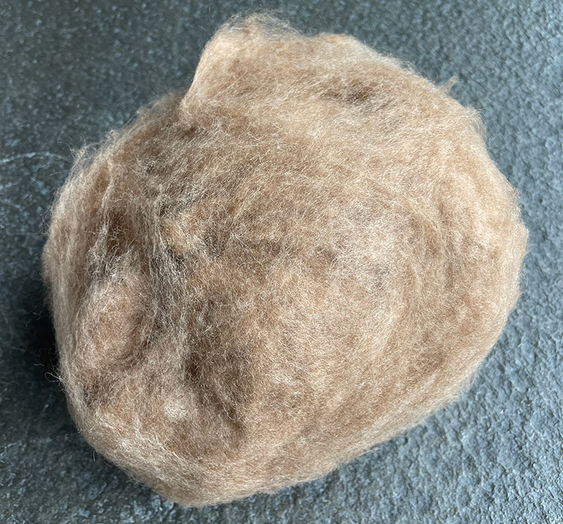 Camel hair MC2