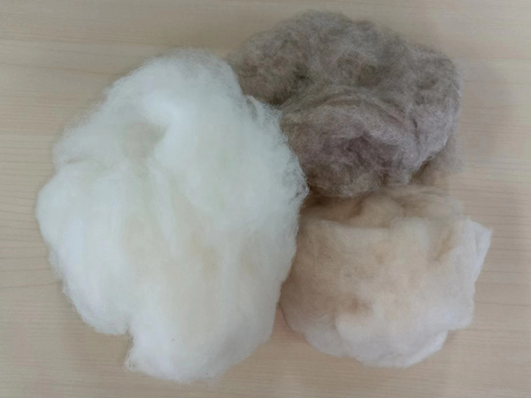 Pure Chinese Sheep Wool White