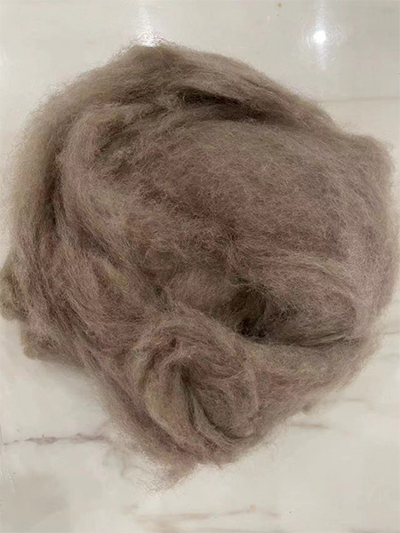 Raccoon hair Brown