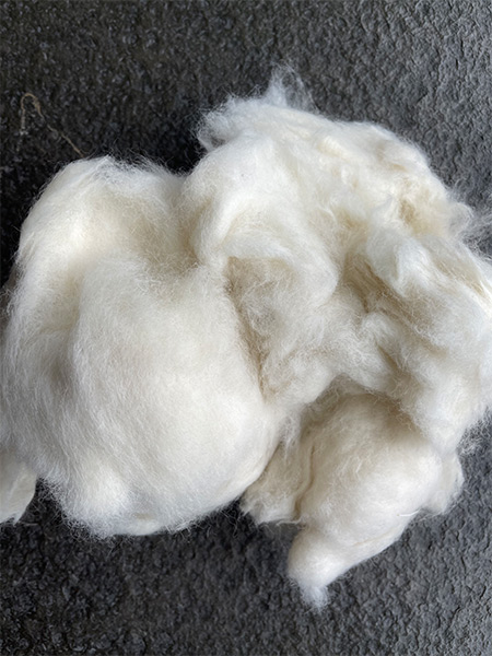 Raccoon hair White