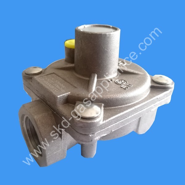 Gas Pressure Regulator 102