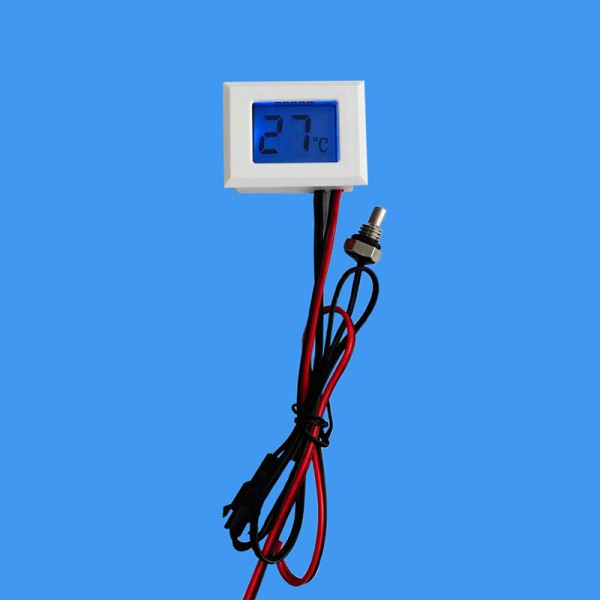Digital Display