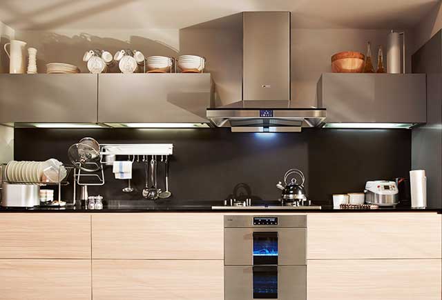 High-end items drive sales in China's kitchen appliances - gas pressure regulator