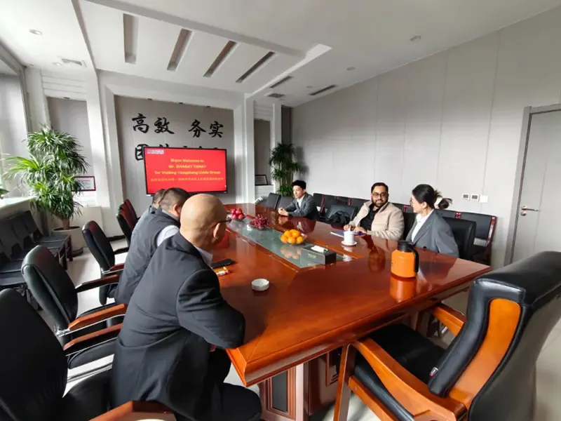 Indian PV Project Design Engineer Visits Hebei Yongshang Cable Group for Cooperation Talks