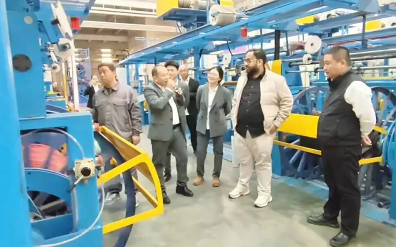 Indian PV Project Design Engineer Visits Hebei Yongshang Cable Group for Cooperation Talks