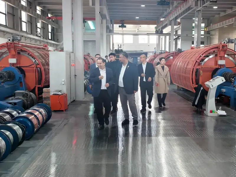 Romanian Energy Investment Company Delegation Visits Hebei Yongshang Cable Group for Cooperation Talks
