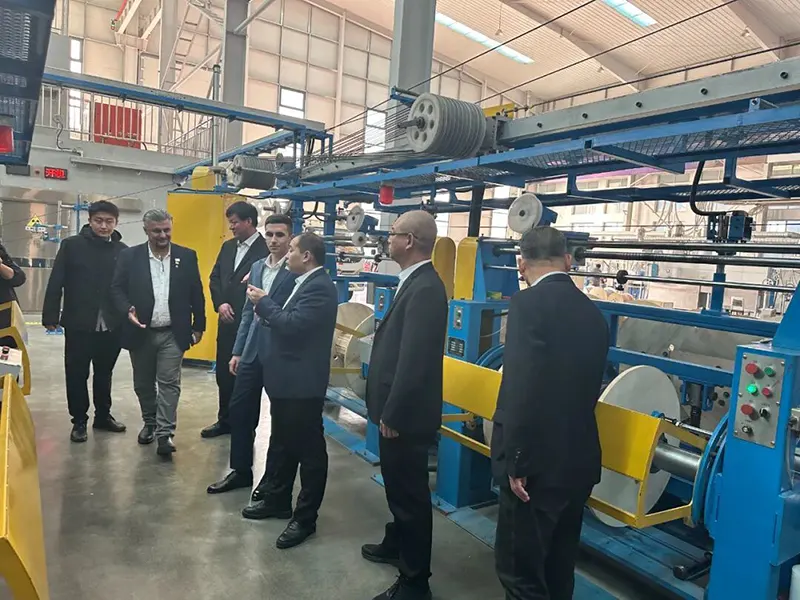 Romanian Energy Investment Company Delegation Visits Hebei Yongshang Cable Group for Cooperation Talks