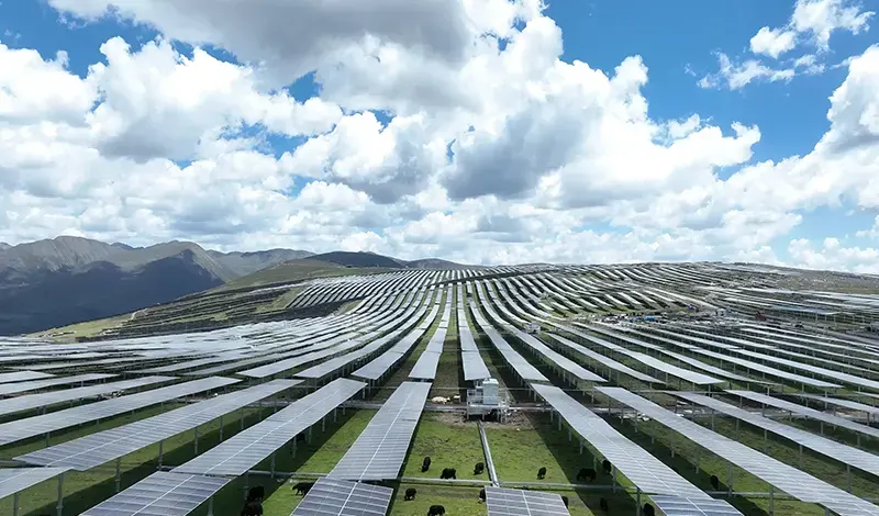 A Practical Guide to Selecting Solar Photovoltaic Cables